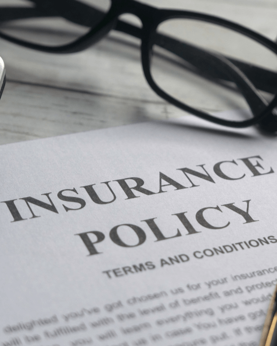 PROFESSIONAL POLICY REVIEW